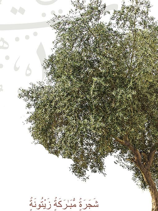 Surah An Nur: 35 Poster