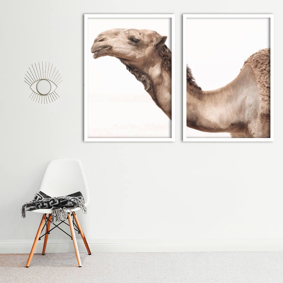 CAMEL POSTER SET