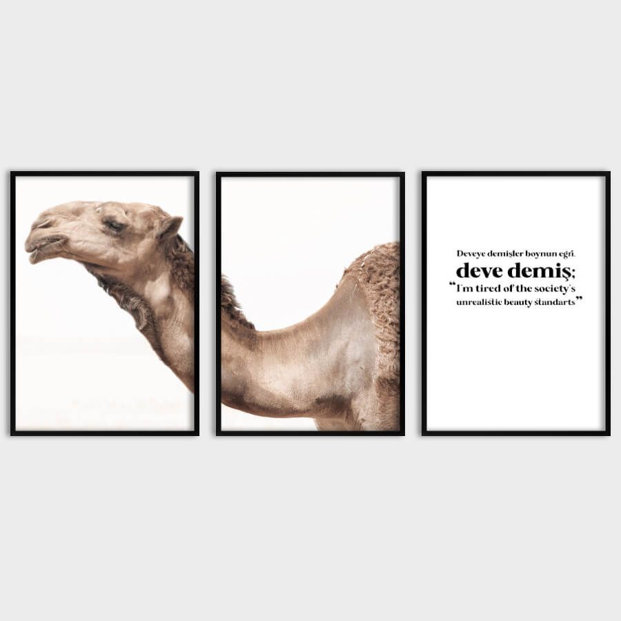 CAMEL, DEVEYE DEMİŞLER, POSTER SET