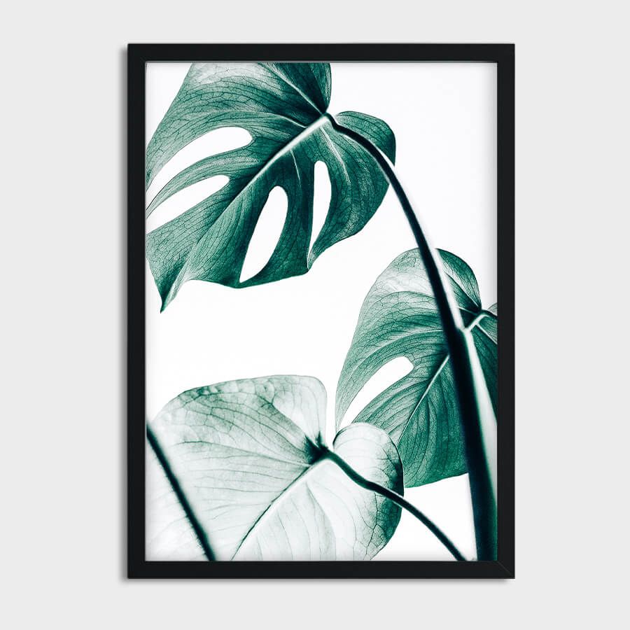 MONSTERA LEAVES POSTER