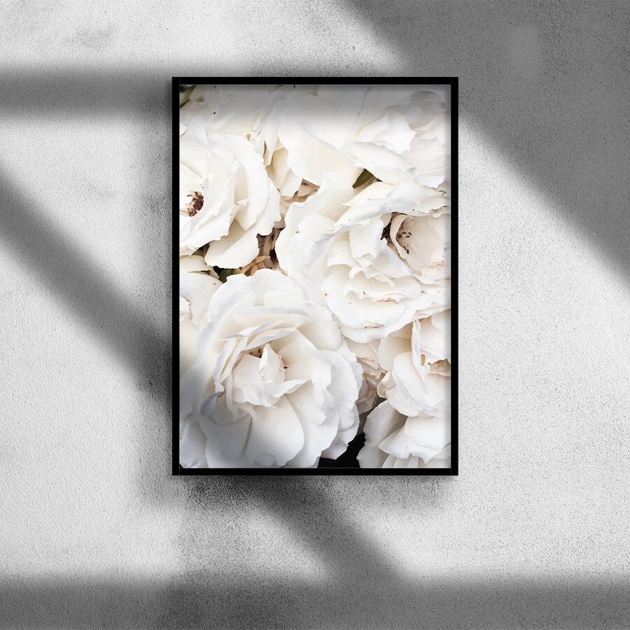 WHITE ROSES POSTER