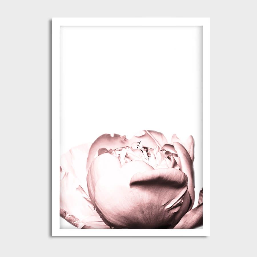 PEONY POSTER