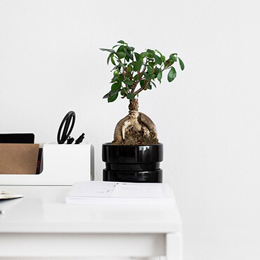 Clean & Simple With Minimalistic Workspace